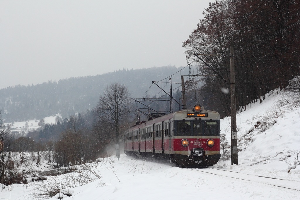 Foto nr: 3139