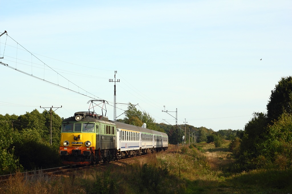 Foto nr: 3356