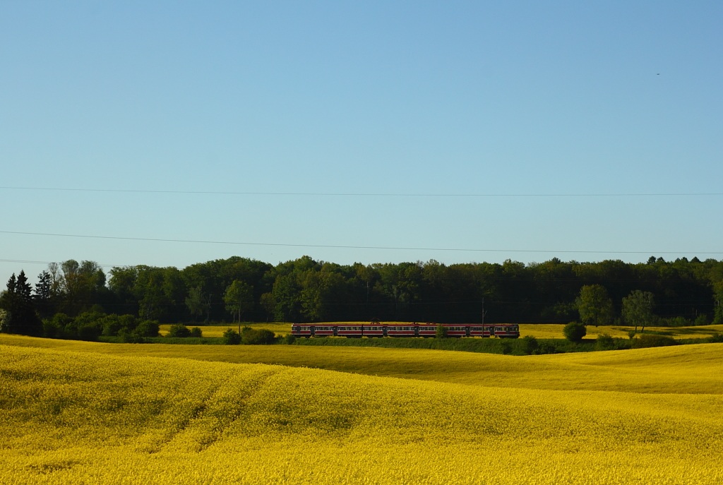 Foto nr: 3557