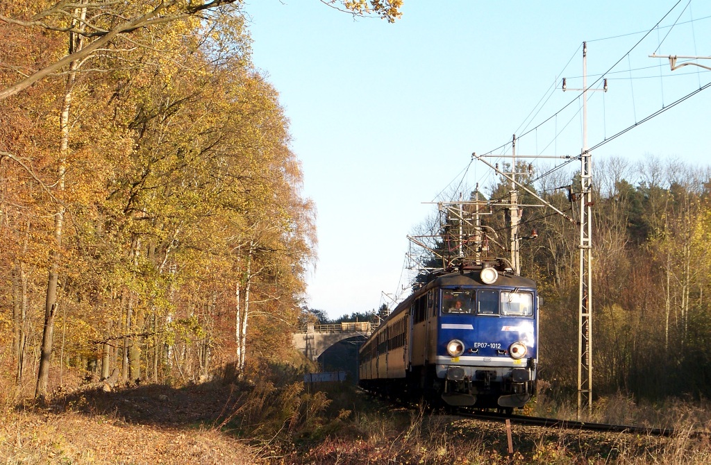 Foto nr: 387