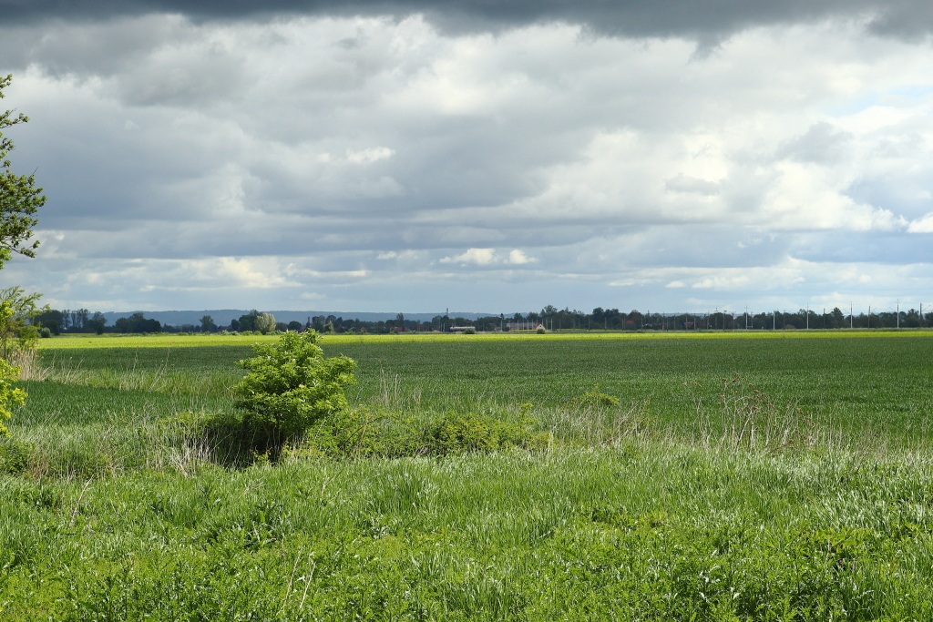 Foto nr: 4482