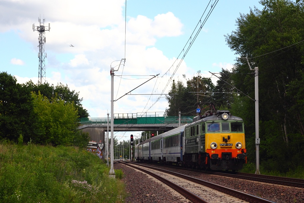 Foto nr: 5230