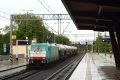 Foto nr: 5455